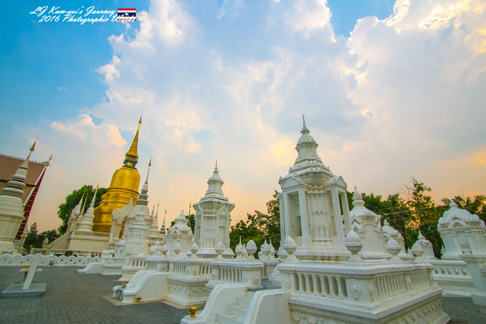 清迈佛寺之城等你采撷的泰北玫瑰,清迈环球旅行家