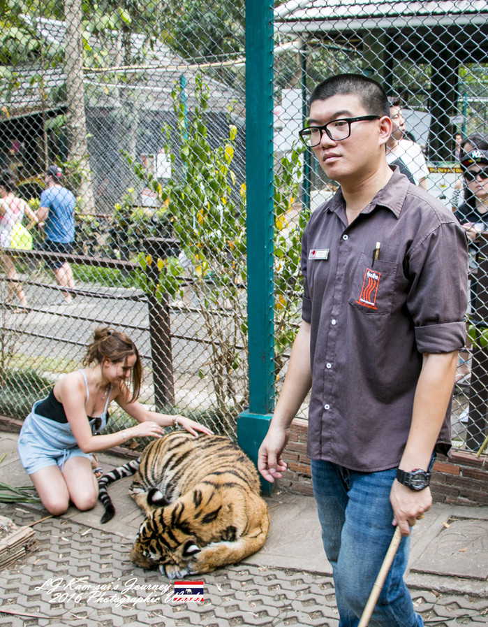 清迈佛寺之城等你采撷的泰北玫瑰,清迈环球旅行家