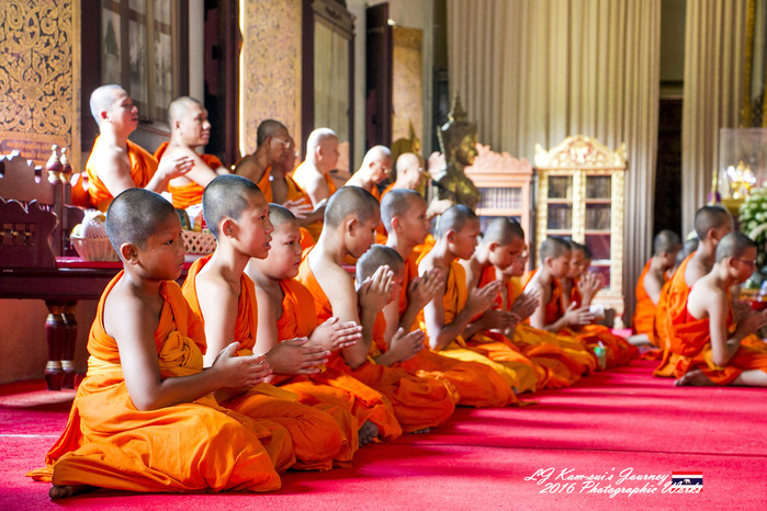 清迈佛寺之城等你采撷的泰北玫瑰,清迈环球旅行家