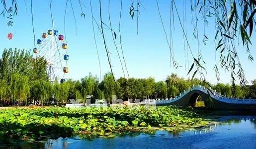 欢乐颂五美江苏哪里的,欢乐颂五美成都