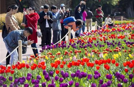 广州花街海心沙,广州海心沙时尚花市
