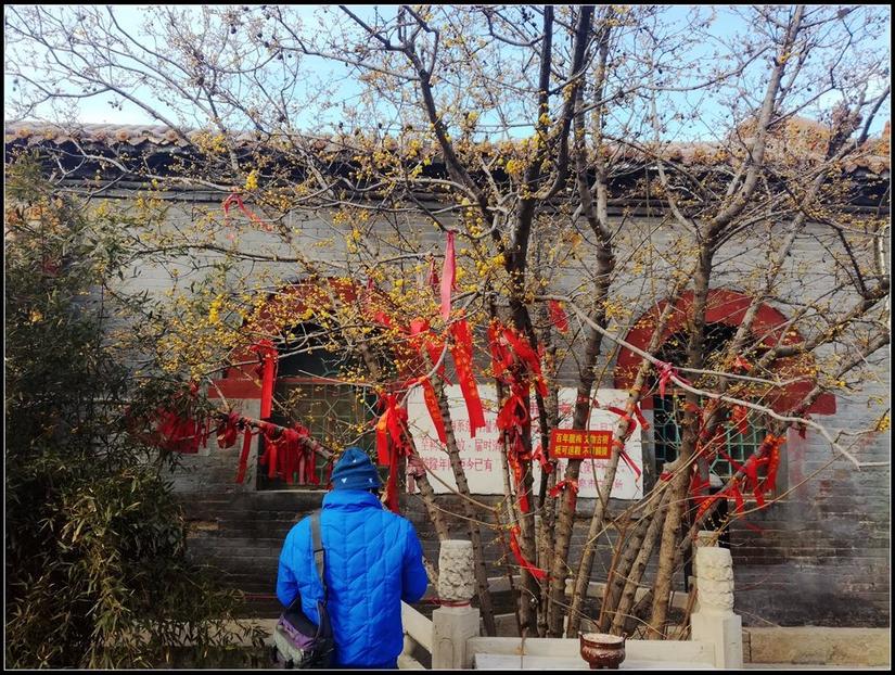 鹿泉道观十方院,鹿泉十方院最新视频