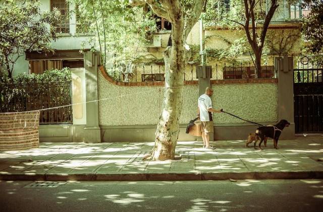 土著带你逛古村,土著带你逛北京