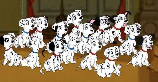 猜谜｜据说能通关的铲屎官堪称“万狗通”，最后一题出题者也不知道答案！等你来科普！