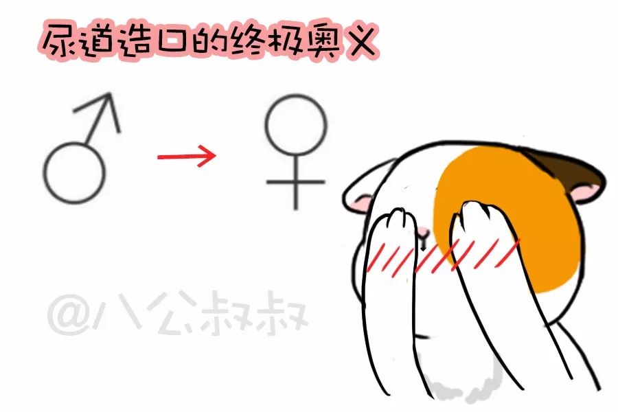 知识猫咪尿频尿急尿不出？当心得了下泌尿道症候群！