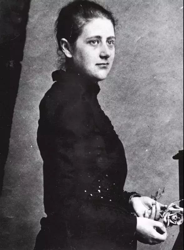 比得兔的故事大全视频,比得兔的故事文字版