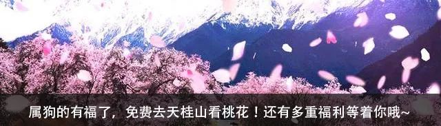 狼牙山龙门湖水上乐园闭园,狼牙山田园花海闭园时间