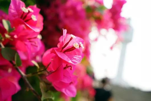 我有一座美丽的海岛,我有一座海岛免费下载