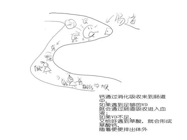 给宝宝补钙这四条建议请收下,宝宝补钙的十大常见问题