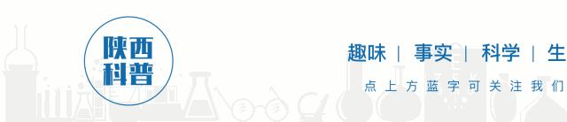 嘘悄悄告诉你作文600个字,嘘告诉你一个秘密翻译