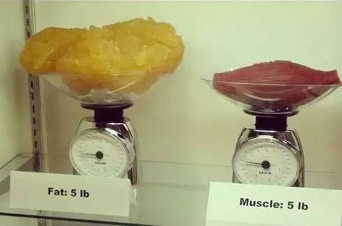 少上一节私教课跟吃亏一样,看完这篇课文你会有什么感想