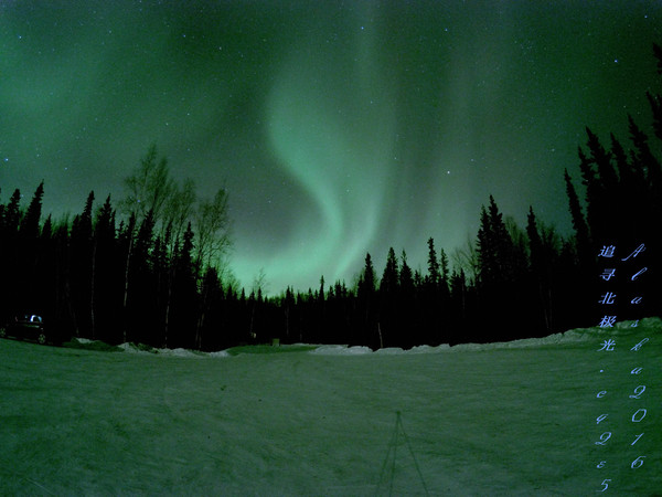 北极5天4晚旅游攻略,美国阿拉斯加6日游