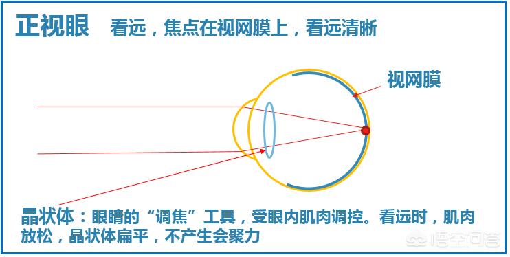 晚上如何远眺防近视,为什么远眺有助于预防近视