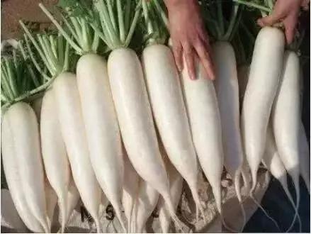 春节吃羊肉吃多了会怎么样,夏季能吃羊肉