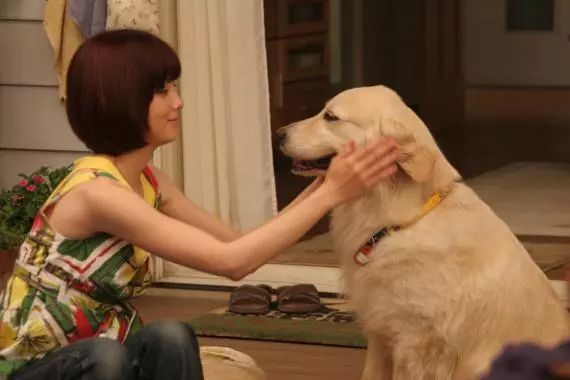 汪星人二哈电影,二哈拍过的电影