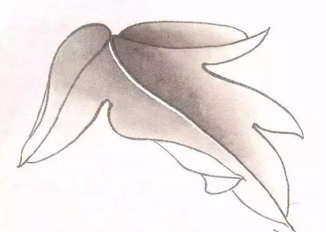 工笔画粉红花染色步骤,10分钟学会工笔画花朵染色