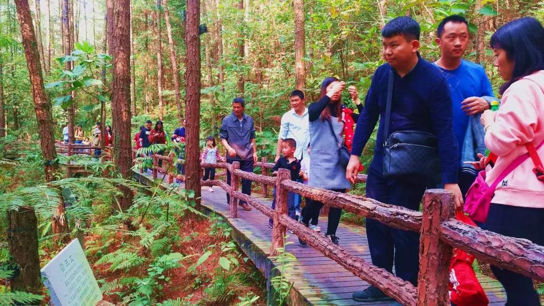 广东清远森波拉旅游度假区,清远森波拉景区