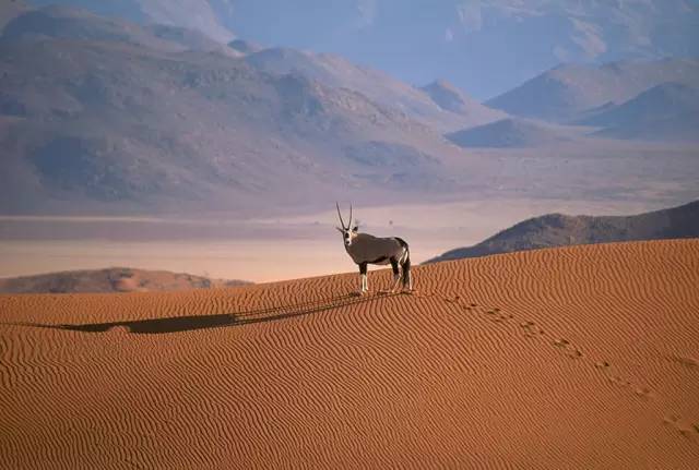 小众旅行目的地国外,热衷于寻找这些小众旅行目的地