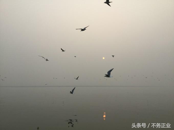 旅行|CoordinateBook04-No.225.3176°N,82.9739°E印度