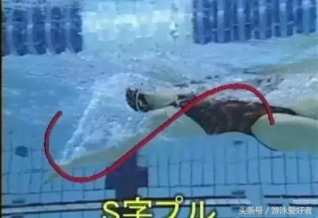 仰泳鼻子爱呛水,仰泳什么时候吸气最好而且不呛水