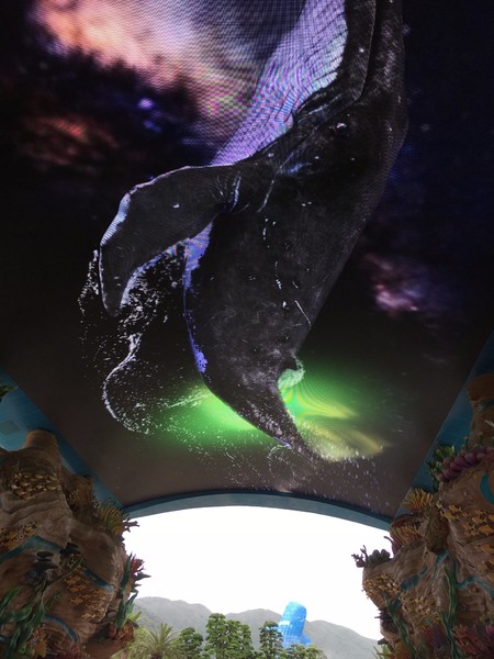 去珠海长隆海洋王国住哪里好,海昌海洋公园和长隆海洋王国