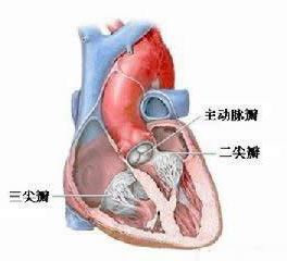 七旬老太胸闷气短呼吸困难,中老年妇女胸闷气短如何调理