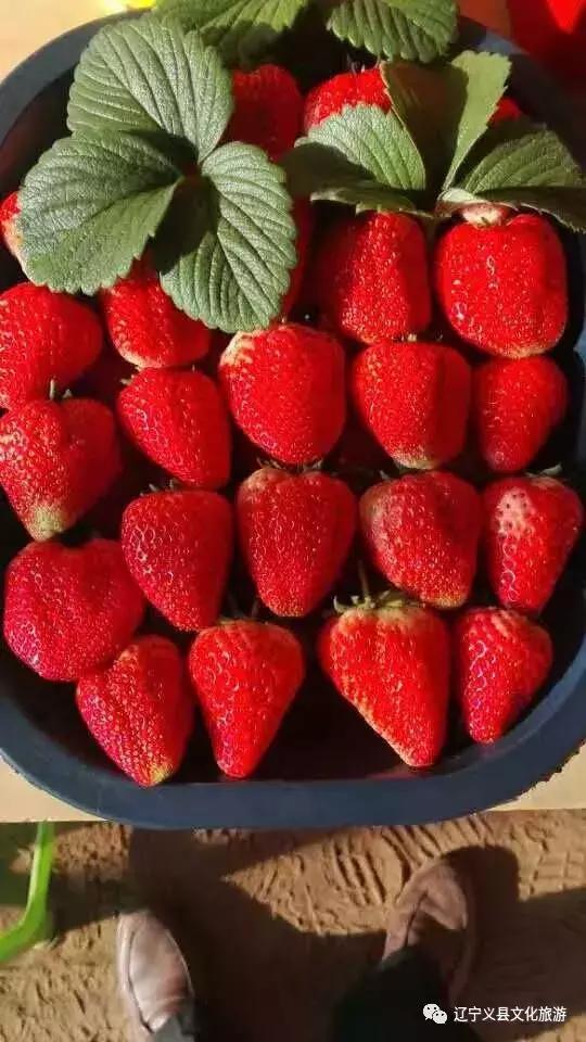 涓囦經鍫傜敓鎬佸洯浼樻儬,涓囦經鍫傜敓鎬佸洯浼樻儬鍥㈣喘