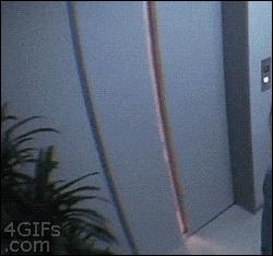 尼古拉斯赵四尬舞视频,尼古拉斯赵四尬舞雷迪森