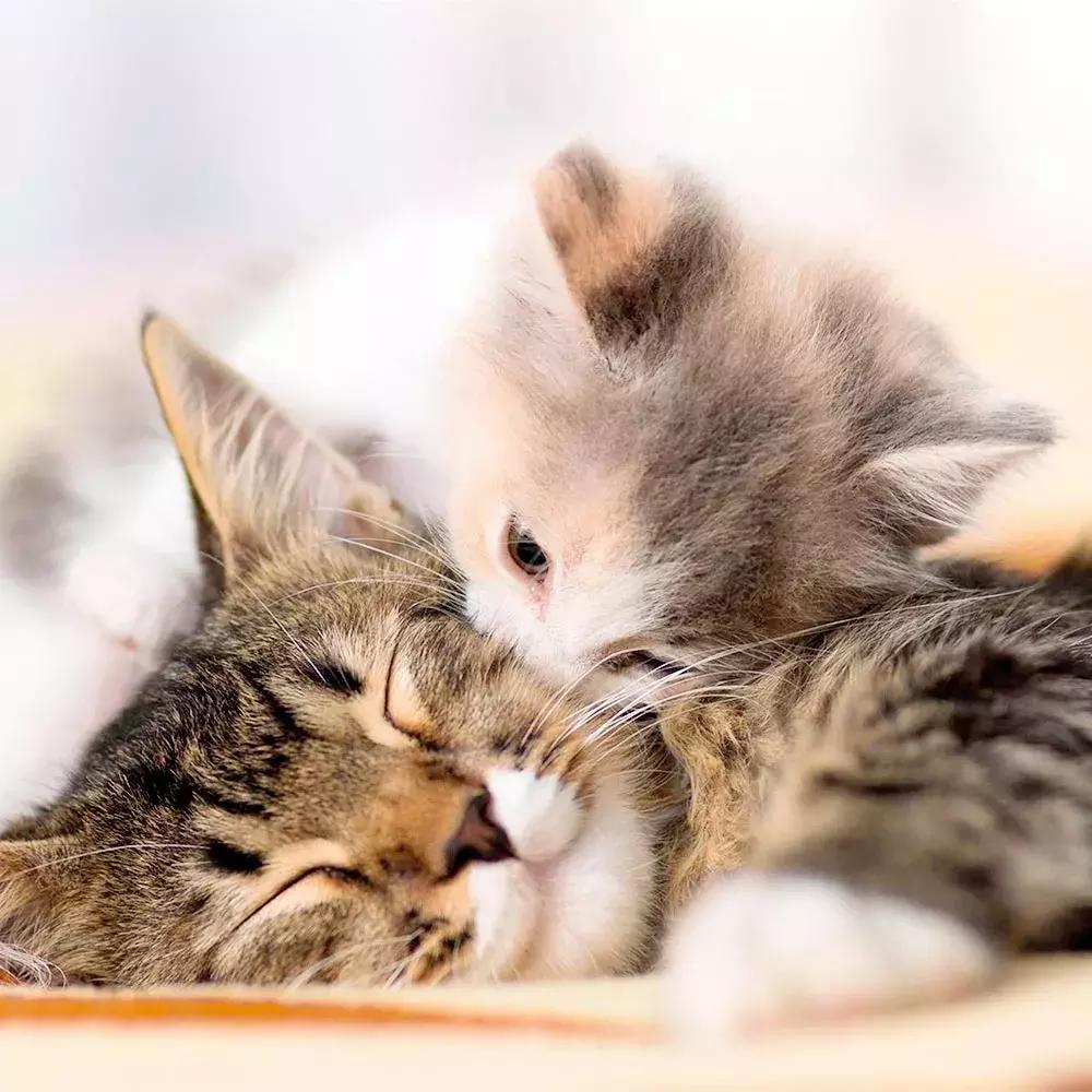 适合当朋友圈背景壁纸的图片,壁纸朋友圈背景图一束光原图