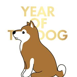 gucci鏂板勾闄愬畾鐗涘勾,鏂板勾濂芥柊骞寸孩鍖呬笉鑳藉皯