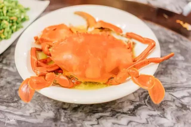 帕劳深度游出海,帕劳深潜体验