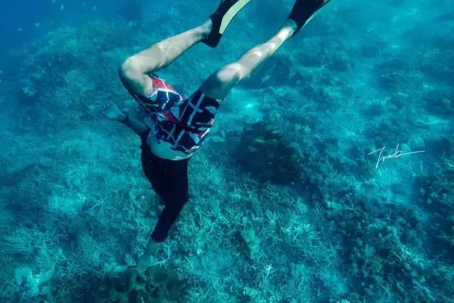 帕劳深度游出海,帕劳深潜体验