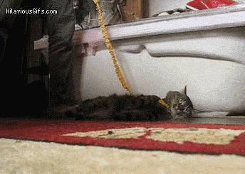 鍋囨湡寤堕暱缇庨,鎵撳崱娲涢槼杩欎簺缇庨鑰佸簵