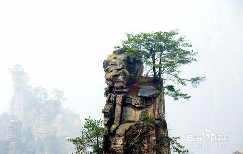 2022年春节张家界旅游须知,张家界2018旅游攻略图片