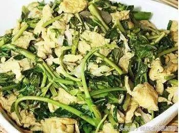 鱼腥草是全能保健师？吃不对那可是危害多多！