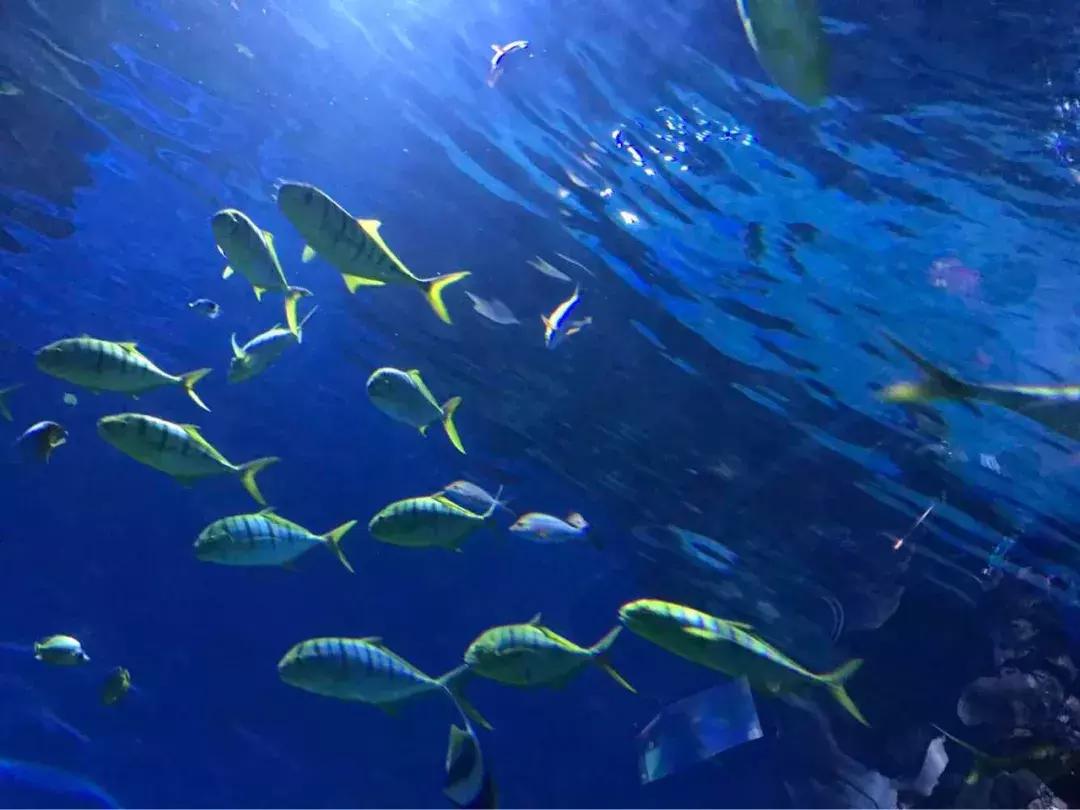 400亿的项目工程大不大,400亿的项目广西