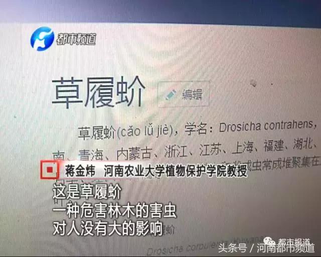 河南什么地方出现大量黑虫,河南村民发现红色线虫