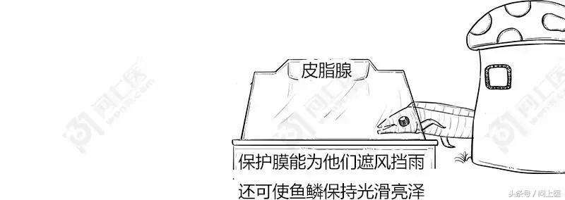 为什么别人的头发总是光滑柔顺你的却毛躁不堪？漫画教你如何护发