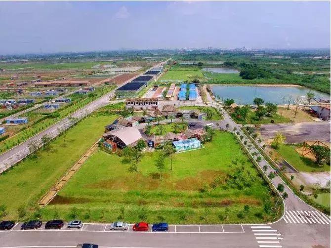 亲子游好去处!番禺周边的农家乐、游乐场、文化园…充实又好玩!