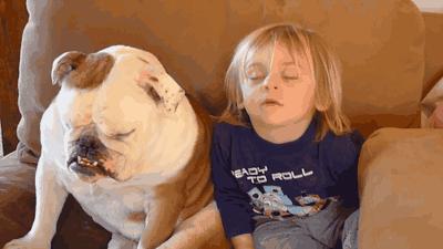 余庆人可以在家上班吗,余庆过年