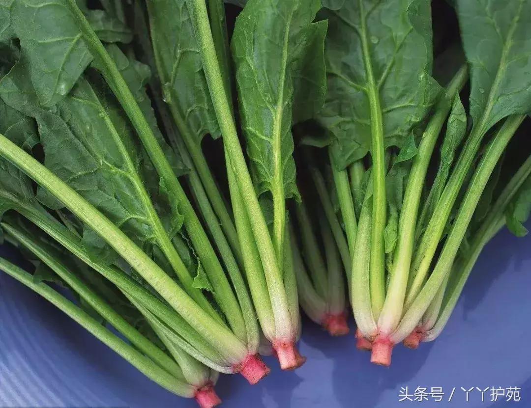 经常喝酒应酬护胃最好方法,应酬多怎么保护胃