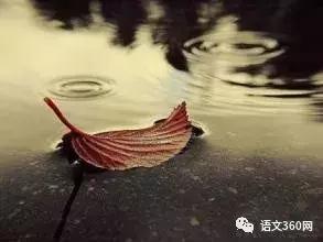 她借酒消愁：怎一个愁字了得；却醉词发问：知否？应是绿肥红瘦