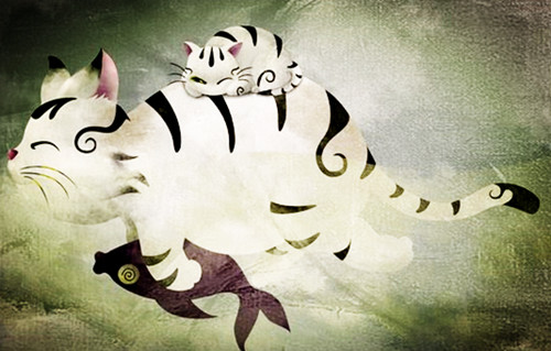 中国十大名猫狸花猫,中国古代名猫