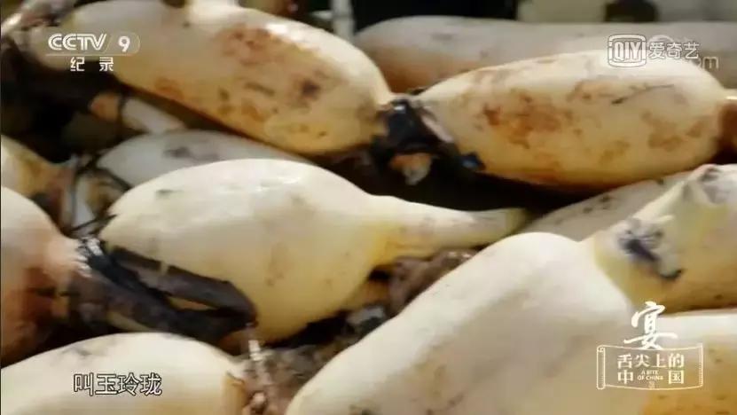 刚离开家就开始想家,想念妈妈做的家常饭菜