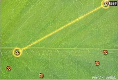 同仁医院给孩子看眼睛的流程,带孩子去同仁检查眼睛攻略