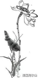 阿尔山携程购票,携程带你游