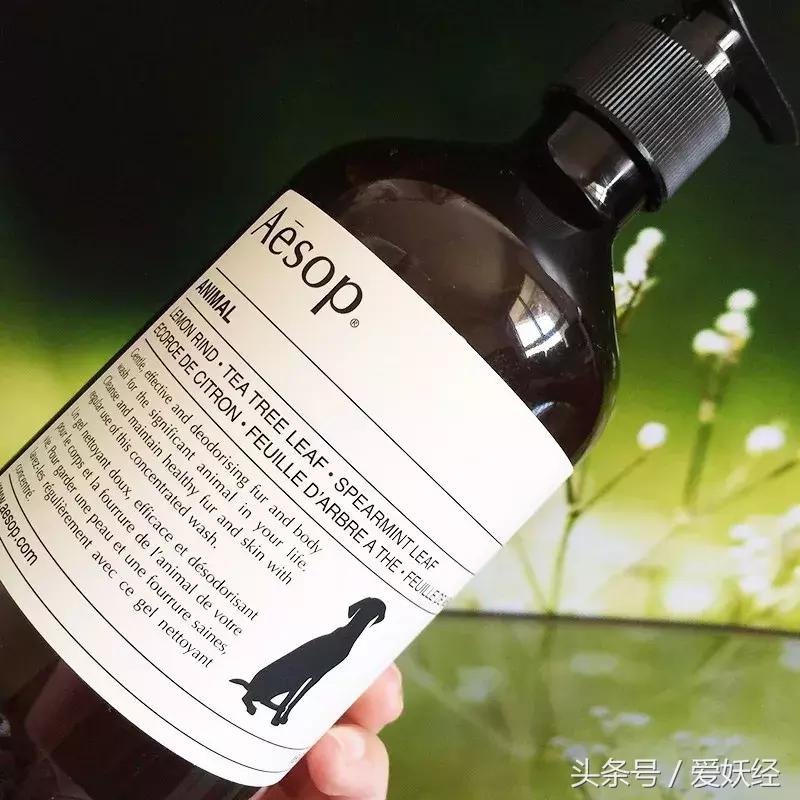 宠物洗护合集,宠物洗护攻略