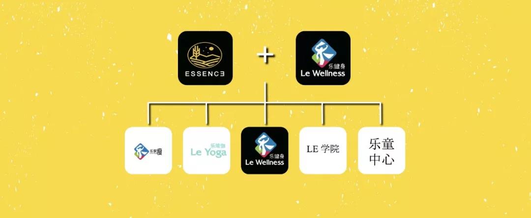 综艺节目的发展趋势,综艺市场改变的原因