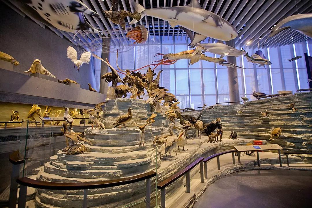 上海新年一定要去的地方,过年上海去哪玩好又便宜又好玩