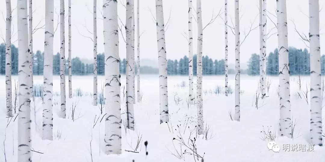 农夫山泉面膜,农夫山泉跨界面膜